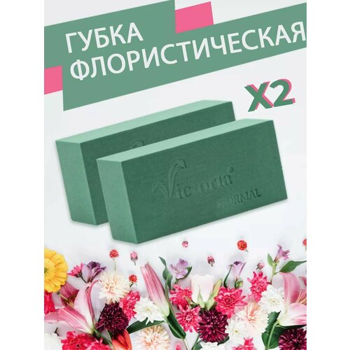 ���� ����� �������������� (������, ����), 23 � 11 � 7,5 ��, 2 �����, ������ ������