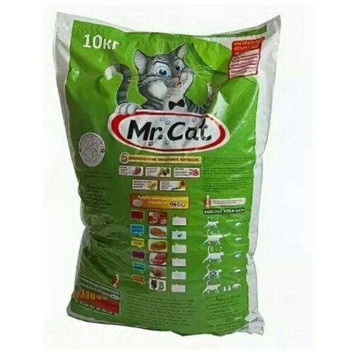  Mr.Cat 10        -     , -,   