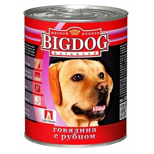      Big Dog    .   -     , -,   