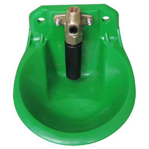 ���� ������ �������� �������������� � ������ �������� ��� ����, ���, ������ ������