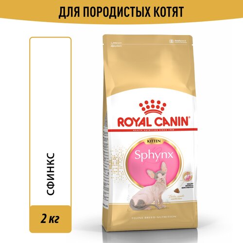     Royal Canin Sphynx Kitten ( )       , 2    -     , -  