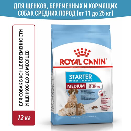     Royal Canin Medium Starter ( )    2- ,    , 12    -     , -  