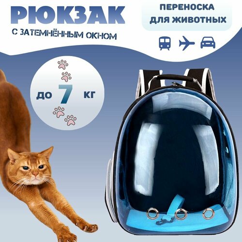 ���� ������ ��� �������� ������ ����� ������ � ����������� �������, ������ ������