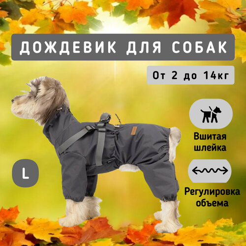 ���� �������� ��� �����, �����, L, ������ ������