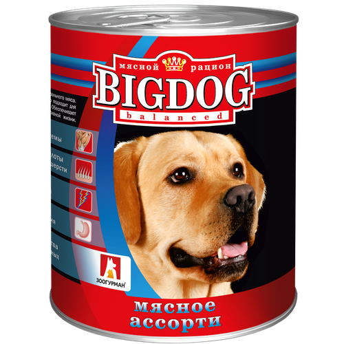       Big Dog,   1 .  1 .  850  (    )   -     , -  