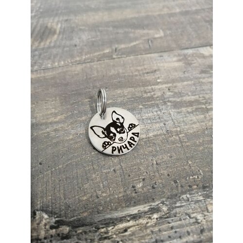 ���� �������� 