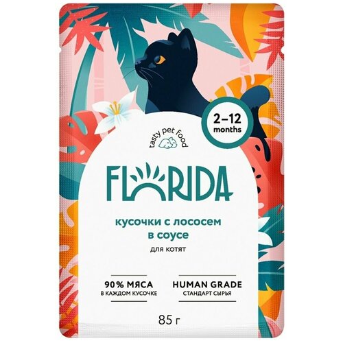   FLORIDA  :      85   -     , -  