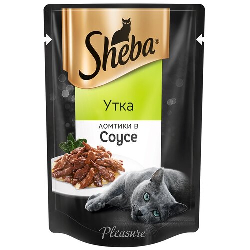      Sheba     , 28   75   -     , -,   