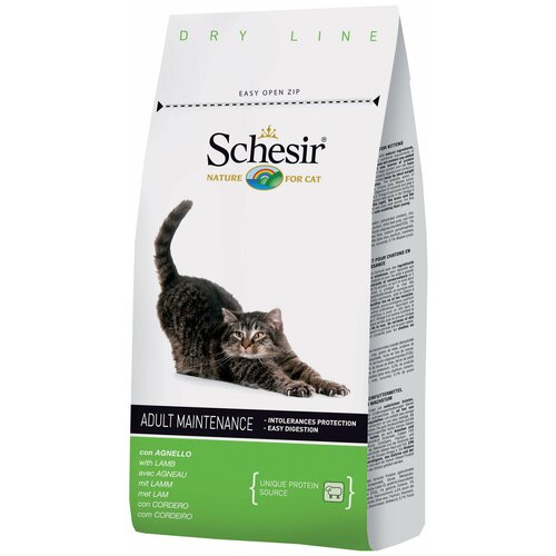  Schesir         1,5  (1 )   -     , -,   