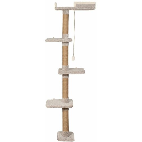 ���� ������� ���������� ��� ����� ������� � �������� ������� 