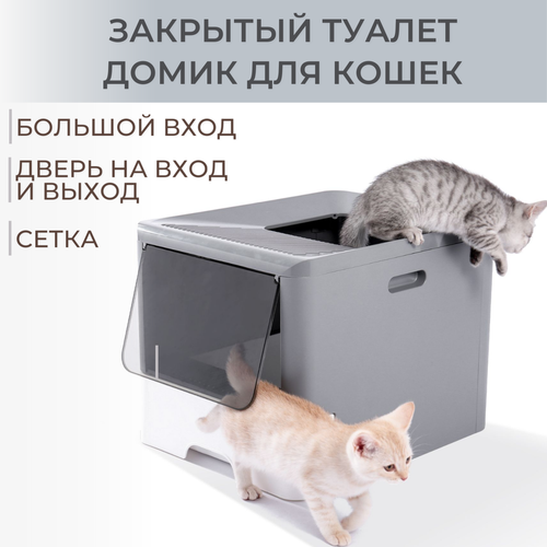 ���� �������� ������ ��� ����� - �����, ������ ������