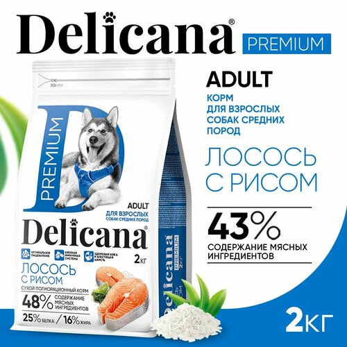  DELICANA          2    -     , -  