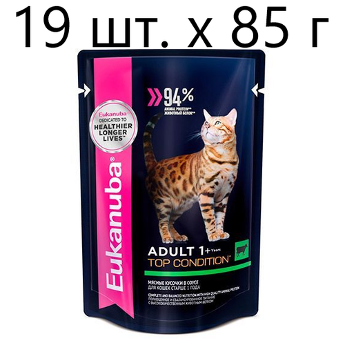      Eukanuba Top Condition,      ,  , 19 .  85  (  )   -     , -  