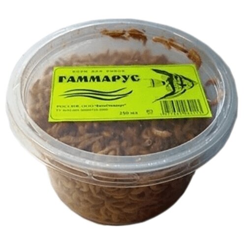 ���� ����� ����  ���  ���, ��������, ������������ ������������ �������� ��� ��� � �������, 250 ��, 100 �, ������ ������