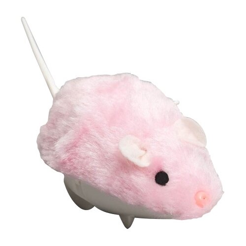 ���� ����  ��� �����   ����� �������� ������� ����� (355747),  �������, ������ ������