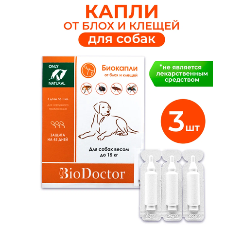  BioDoctor         3 .  ., 1 .   -     , -  