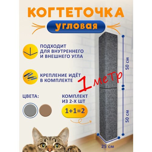 ���� �������� ���������� ������� ��������� ��� �����, ������ ������