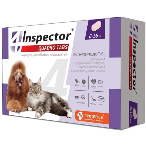  Inspector      Quadro Tabs  8  16      4 .  ., 1 .   -     , -  