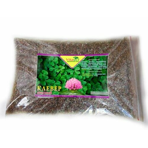 ���� ������ ������� �������, ������ ������