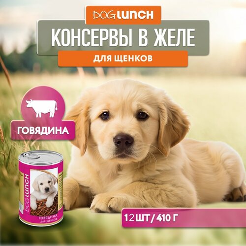      Dog Lunch  1 .  12 .  410    -     , -  