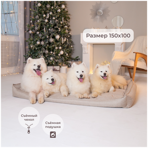 ���� ������� ��� ������ �� ������� ������, ��� ������� � ������� �����, 150x100 ��, ������ ������