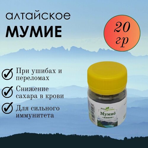 ���� ���� ��������� ����� ����-�������� ��� �������� � ������ ������������, 20 ��, ������ ������