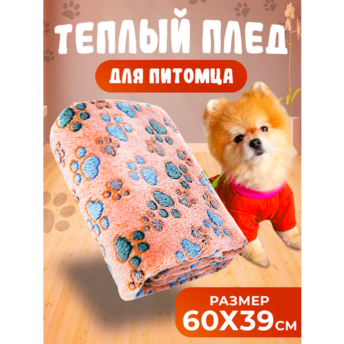 ���� ���� �������� ��� ��������, ���� ����������, ������ 60x39 ��, ������ ������