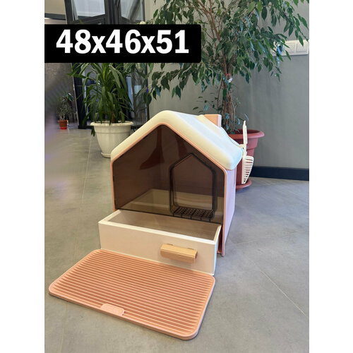 ���� �������� �����-����� � ��������� �������� , ������ � ���������� ����� ������� ����� 