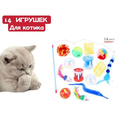 ���� ����� ������� ��� ����� 14 ���������, ������ ������