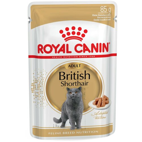  Royal Canin British Shorthair     12 ,    () (0.085 ) 24    -     , -,   