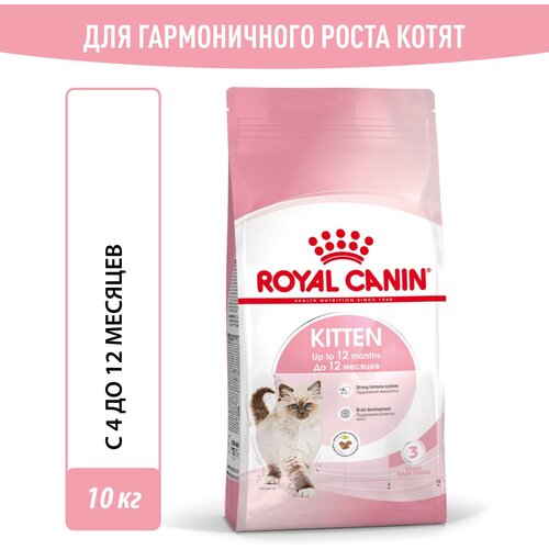     Royal Canin Kitten ()       , 10    -     , -  