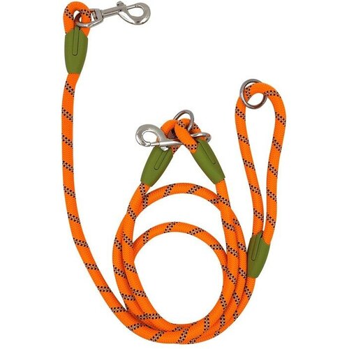 ���� ������� ���������� ��������� ��� ����� ����� �����, ������ ������