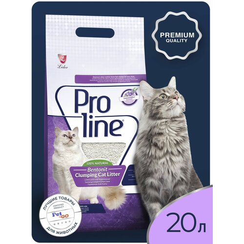   Proline    , , ,  ,    20 .   -     , -  