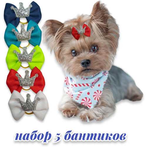 ���� ������� ��� �����, ������ ������