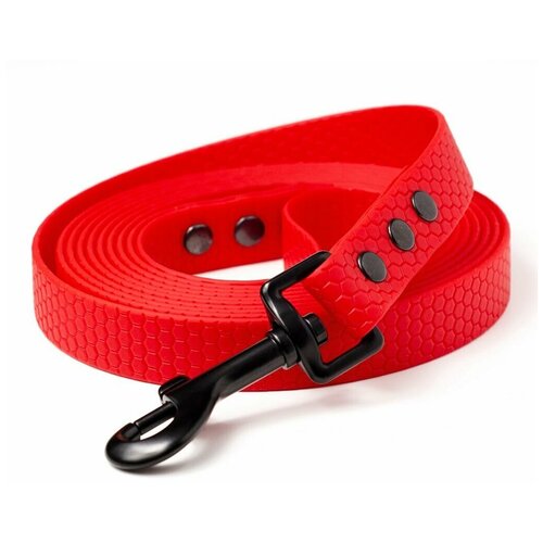 ���� ������� �� ������� 1,5 �, ������ 16 ��, Woofy 