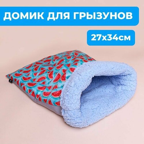 ���� ����� ��� ��������, �����-������� ��� �������, ����, ����, ������� ������, ������ ������