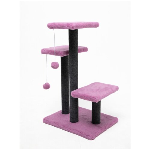 ���� ���������� 