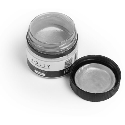  Holly Professional     /   ,    Color Gel Silver   -     , -  