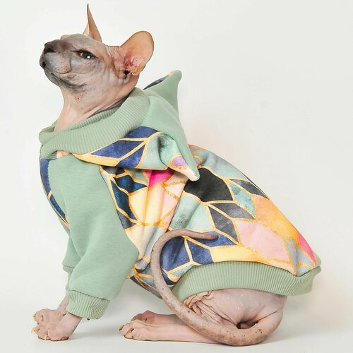 ���� Ҹ���� ��������� ��� ����� ���������� �����, ������ �������� , ������ XL, ������ ������