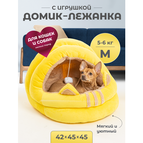      ,  454542 ,     ,   Family Pet   -     , -  