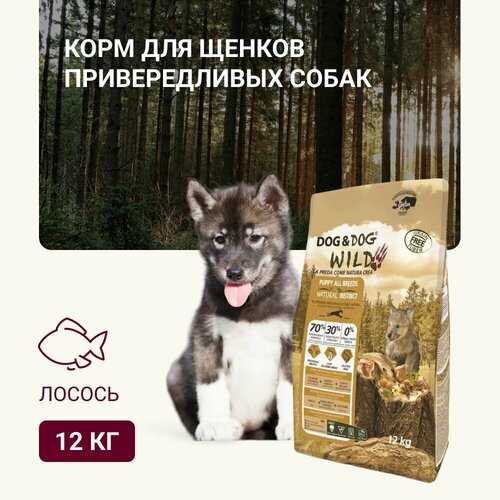      Dog & Dog Wild Natural Instinct 12 .   -     , -  