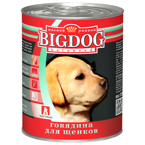       Big Dog,  1 .  2 .  850  (    )   -     , -  