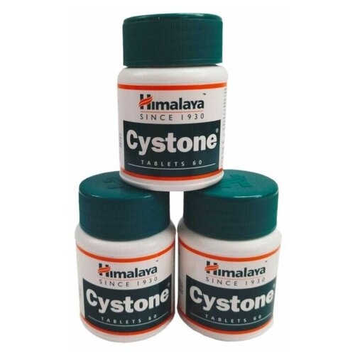 ���� AYURVED-Cyston ��� ������. ����������� �������, ������ ������