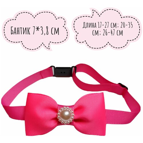 ���� ������� ������� ��� ����� � �����, ����� ������ ����� � ������� �����, ������ ������� ��� �������� 20-35 ��, ������ ������