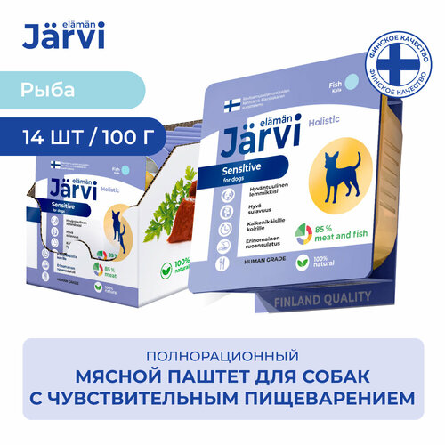  Jarvi            100 .  14    -     , -  