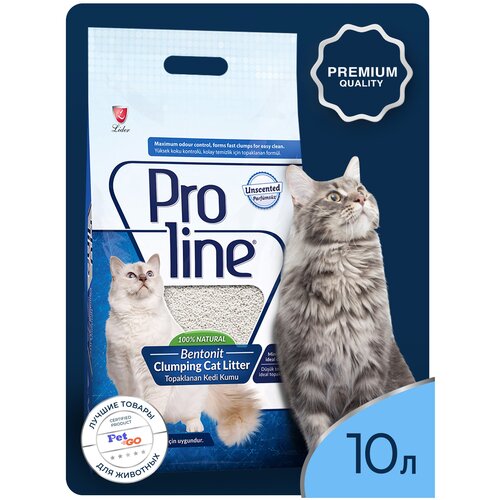   Proline    , , ,  ,   10 .   -     , -  