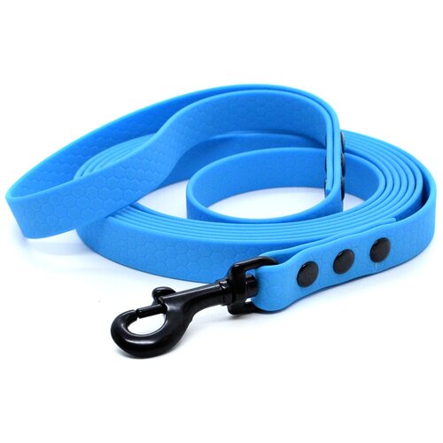 ���� ������� �� ������� 1 �, ������ 16 ��, Woofy 