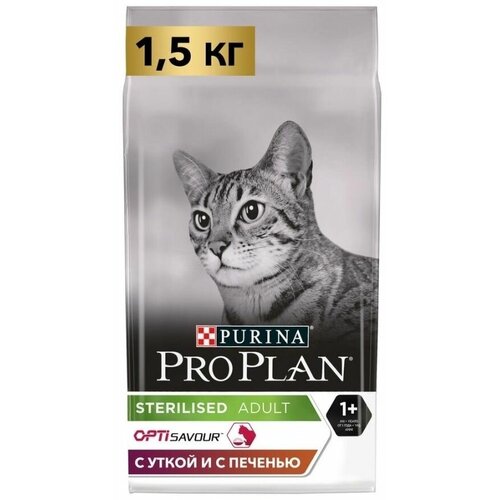    Pro Plan   , /, 1,5    -     , -,   