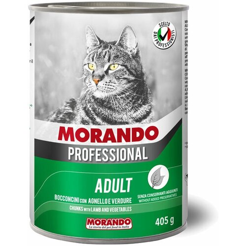 Morando Professional      (0.405 ) (5 )   -     , -,   