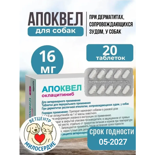 ���� ������� 16 �� 20 ��������, ������ ������